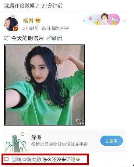 娱乐圈吃瓜小技巧